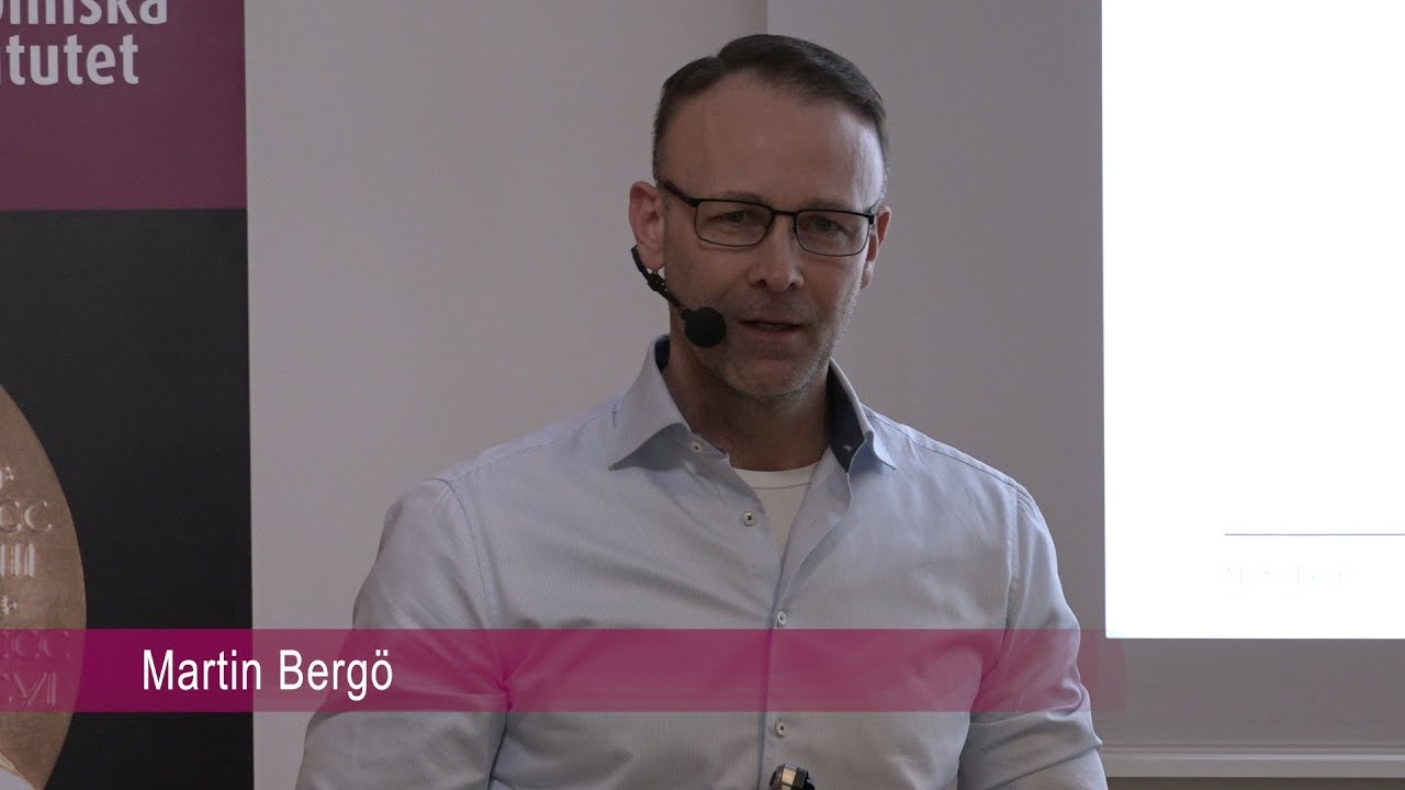 martin-bergo