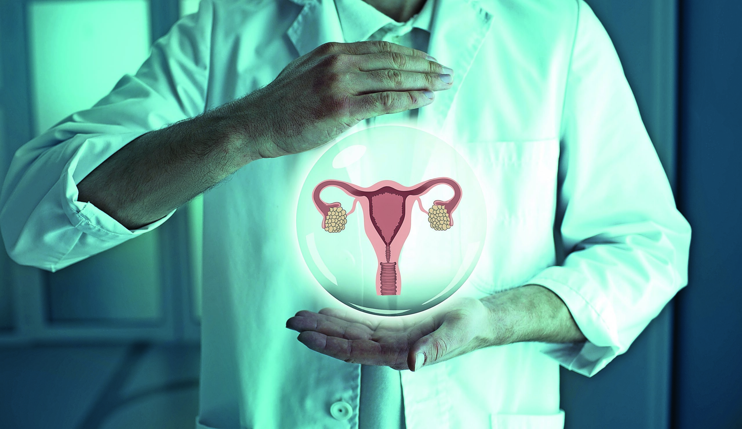 Unrecognizable,Reproductologist,Holding,A,Holographic,Model,Of,The,Uterus,And