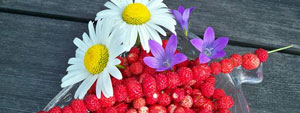 sommarbild
